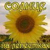 <b>Название: </b>cv16, <b>Добавил:<b> Обожженная_лунным_светом<br>Размеры: 100x100, 15.9 Кб