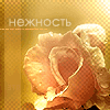 <b>Название: </b>cv100, <b>Добавил:<b> Обожженная_лунным_светом<br>Размеры: 100x100, 7.4 Кб