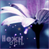 <b>Название: </b>d0586590ddf2, <b>Добавил:<b> Обожженная_лунным_светом<br>Размеры: 100x100, 41.6 Кб